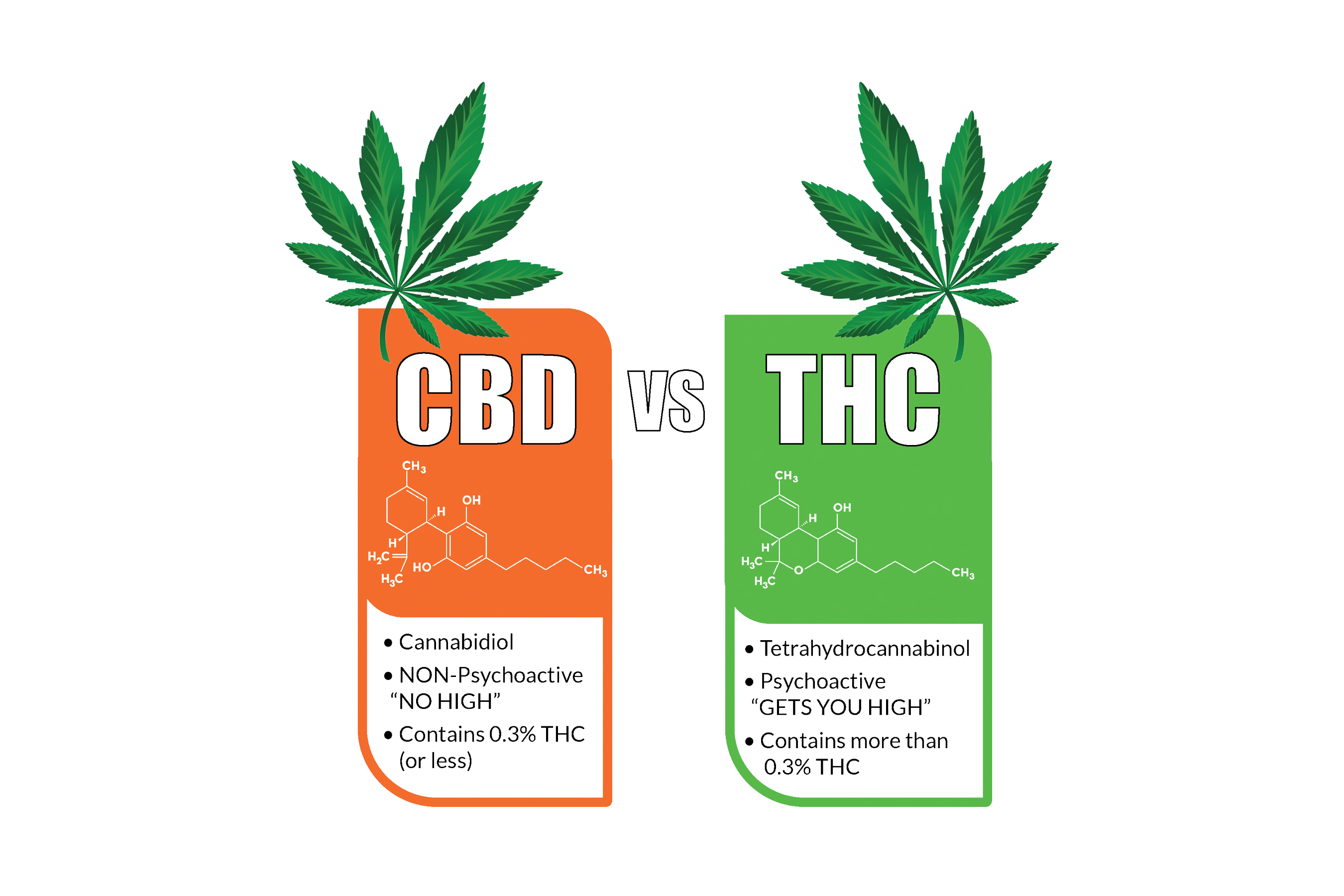 Differences between CBD and THC