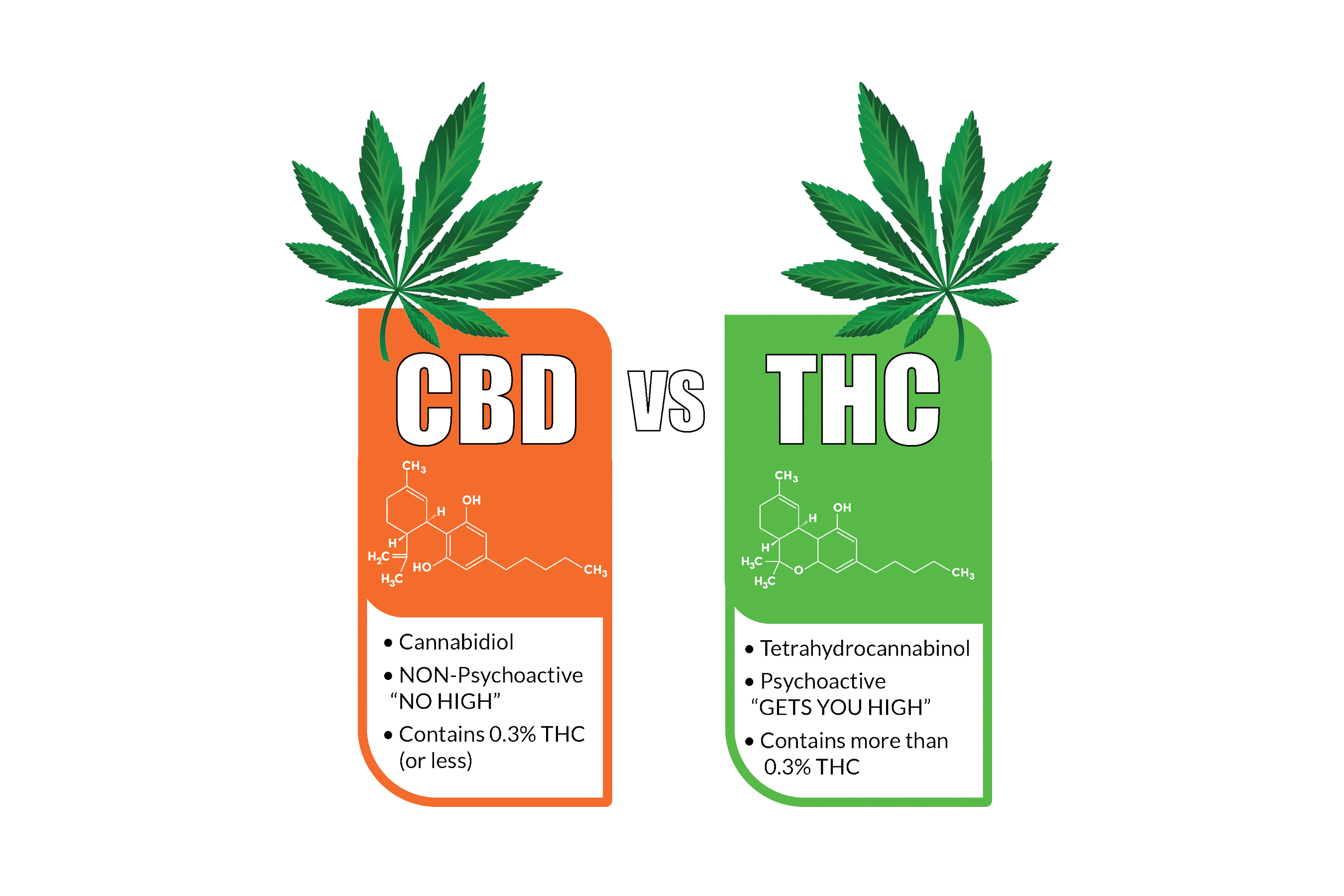 The Main Principles Of Cbd Vs. Thc: Differences, Benefits, And Effects ...