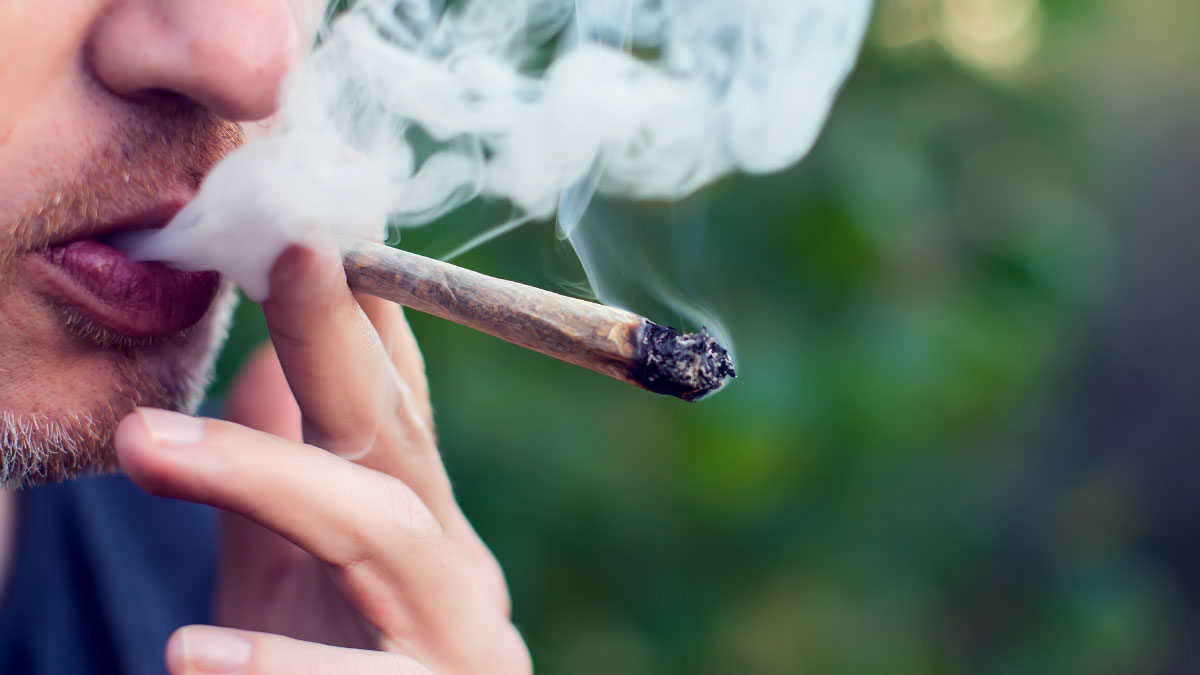 Дым от марихуаны марихуана срок анализов