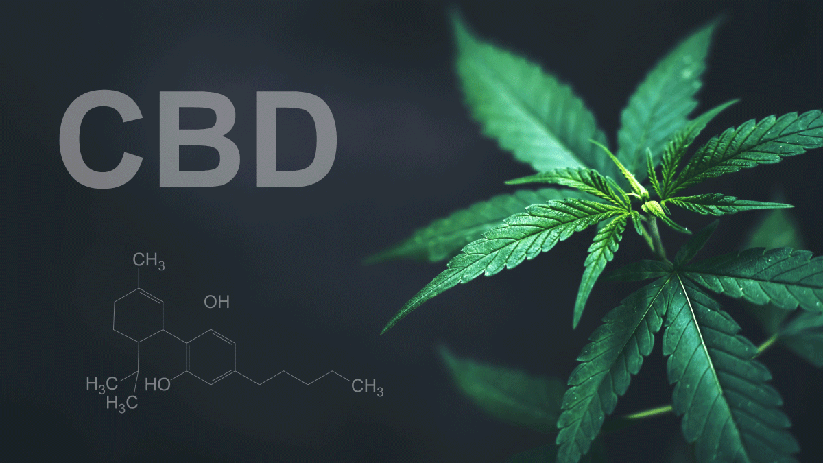 CBD Molecule structure with hemp leaf