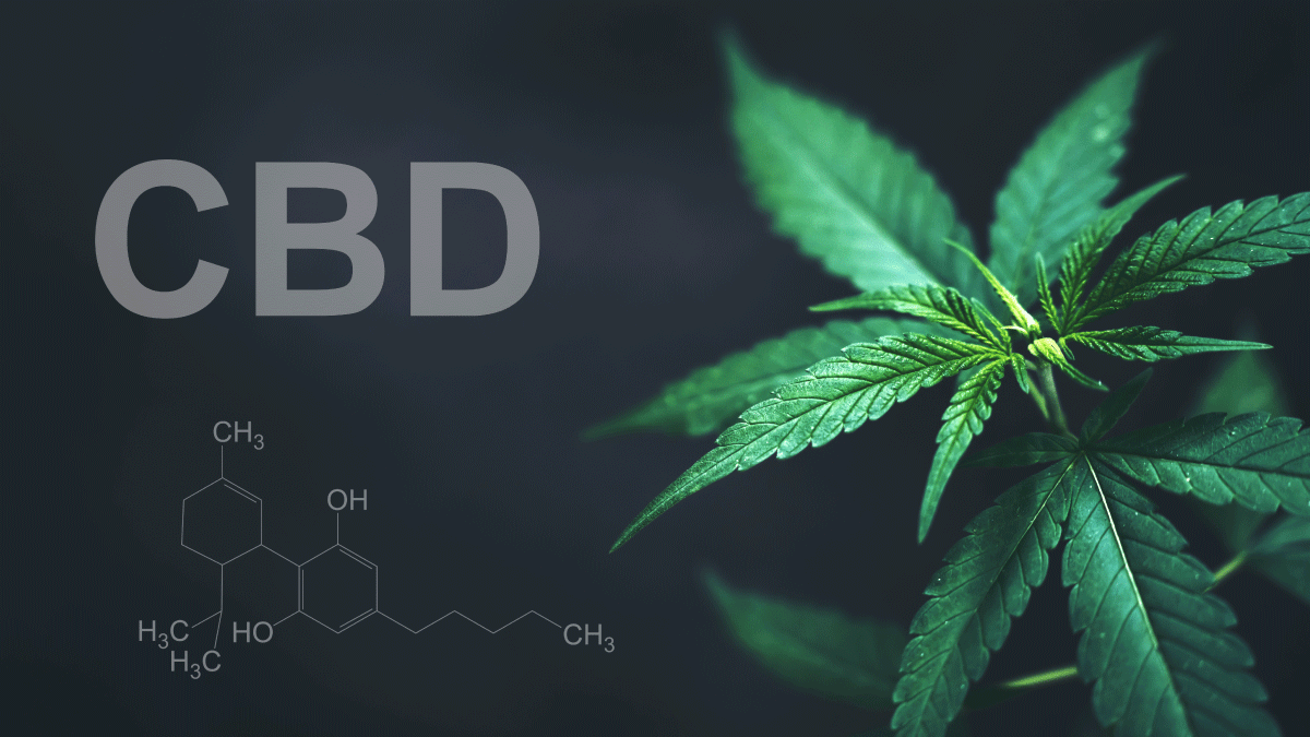 CBD molecule with cannabis leaf